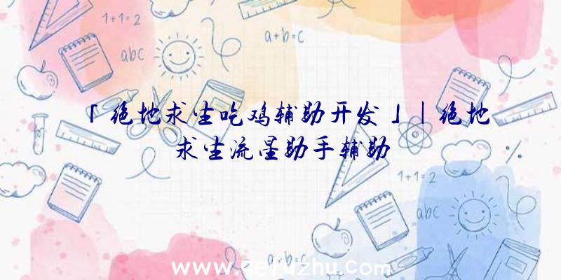 「绝地求生吃鸡辅助开发」|绝地求生流星助手辅助